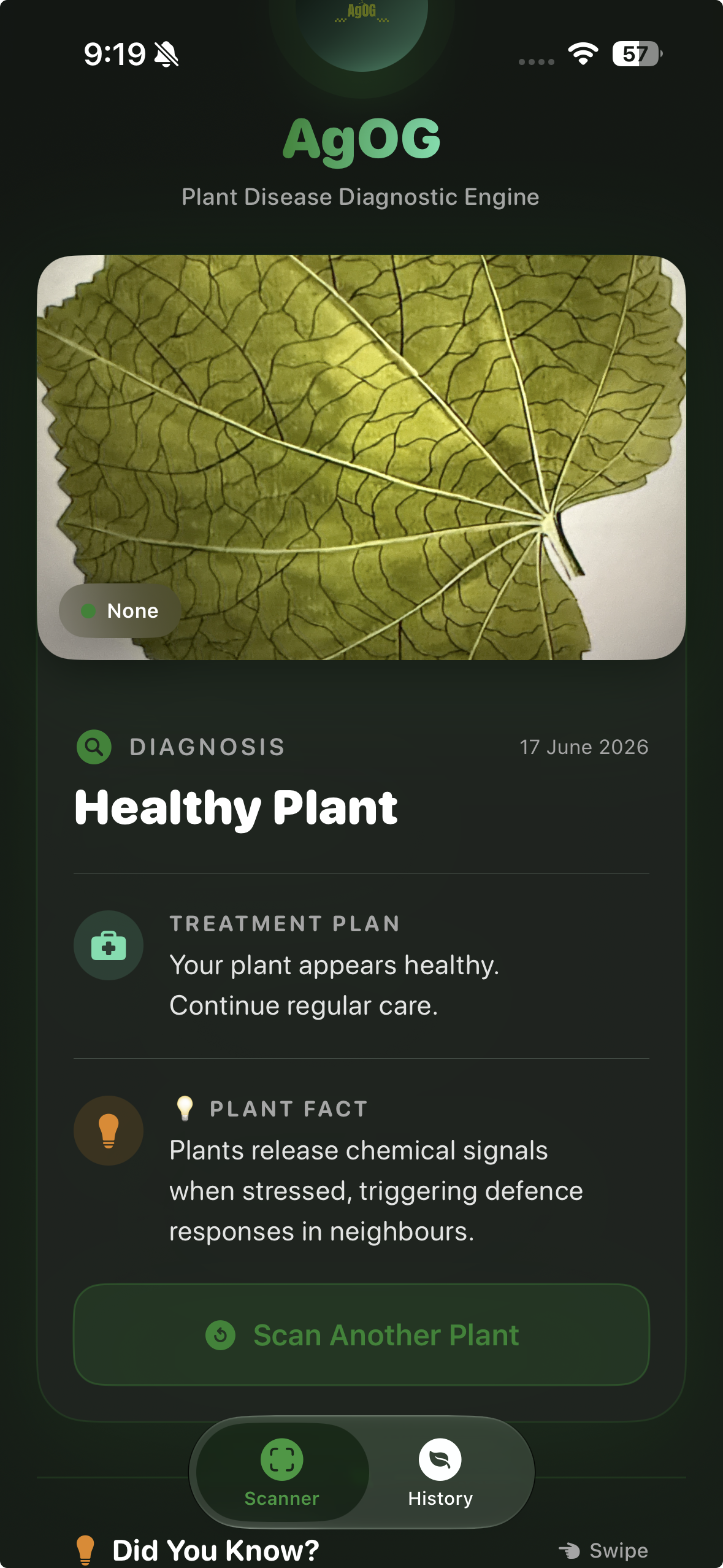 AgOG Treatment Plan